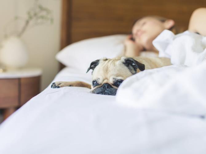 Q. What can new parents do to sleep better?